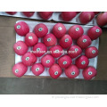 /msite/products/detail/productid/54855470/id/542998.html